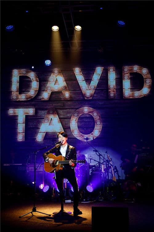 陶喆20周年派对 poster