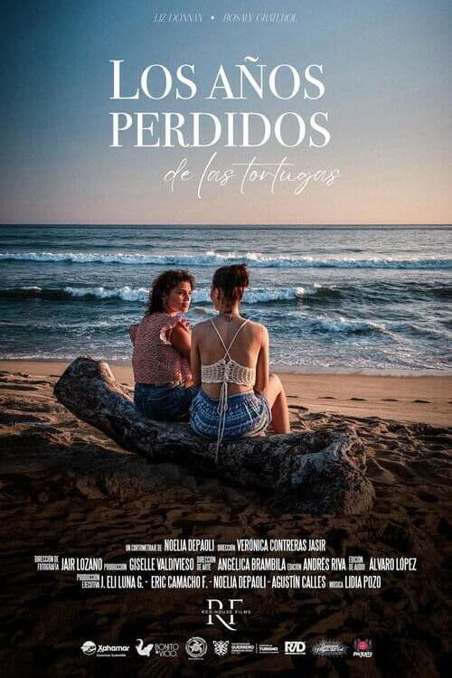 The Lost Years of the Turtles poster