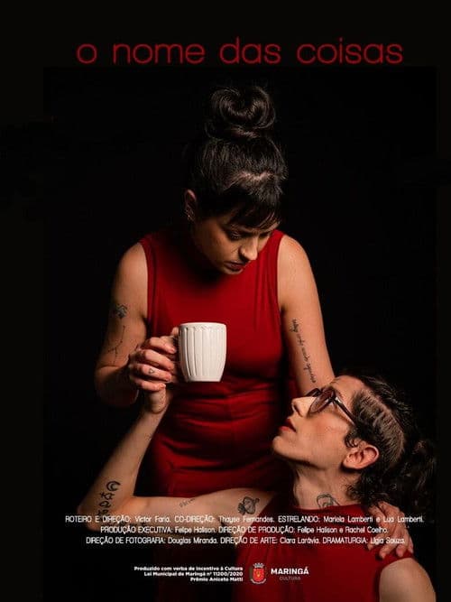 O nome das coisas poster