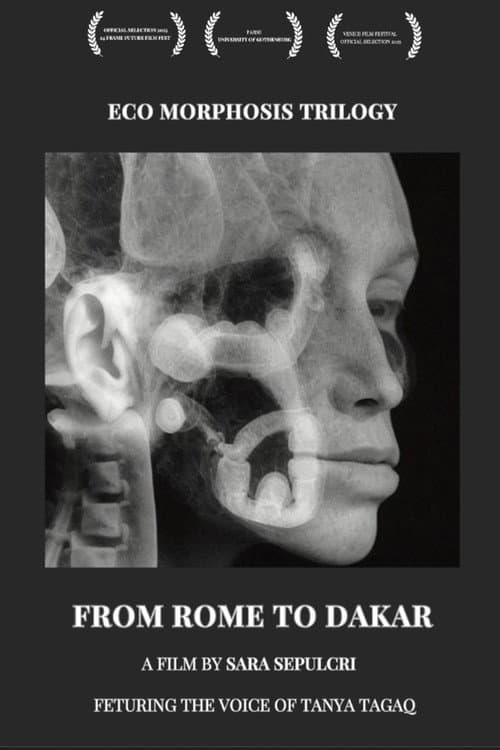 From Rome to Dakar poster