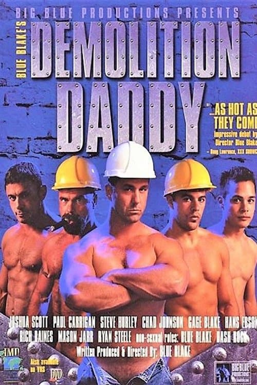 Demolition Daddy poster