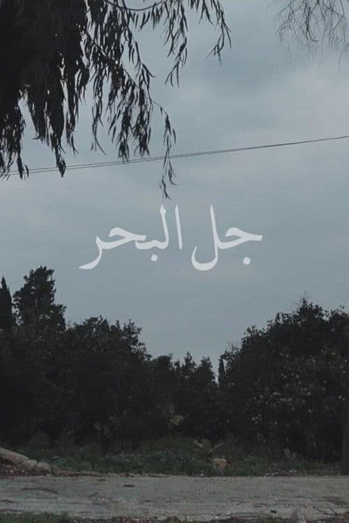 Jal el Bahr poster