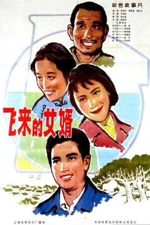 飞来的女婿 poster