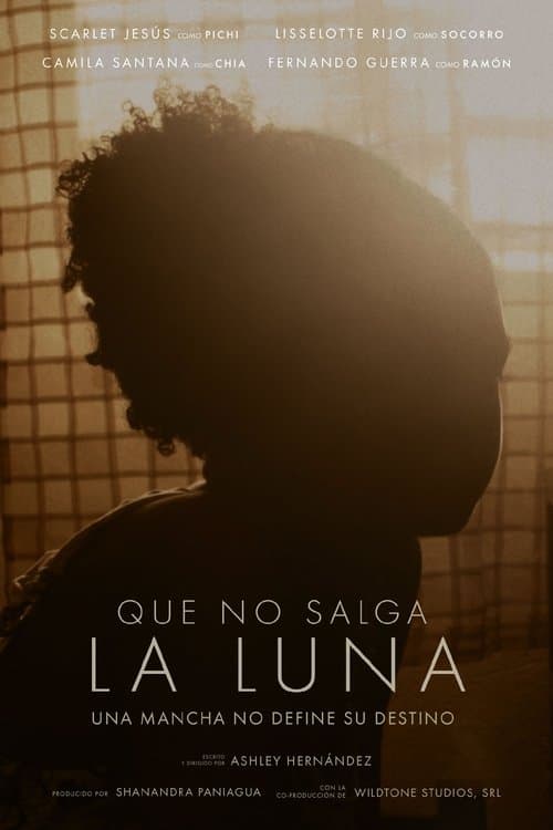 Que No Salga La Luna poster