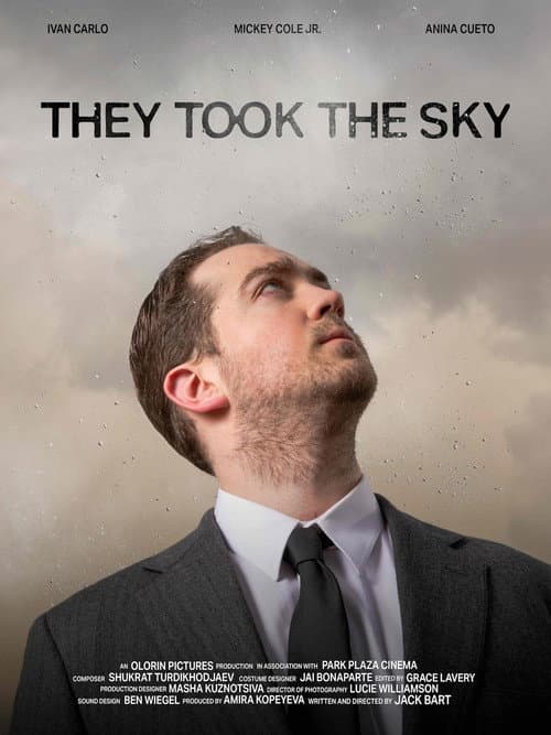 They Took the Sky poster