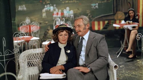 Šaty po tetě poster