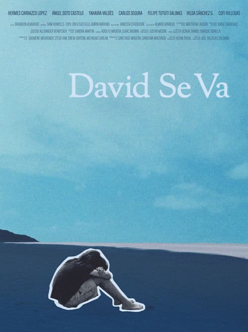 David Se Va poster