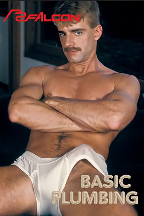 Basic Plumbing poster