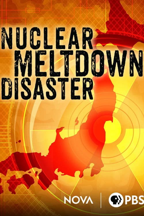 Nuclear Meltdown Disaster poster