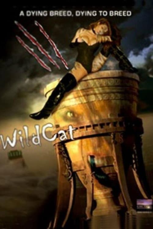 WildCat poster