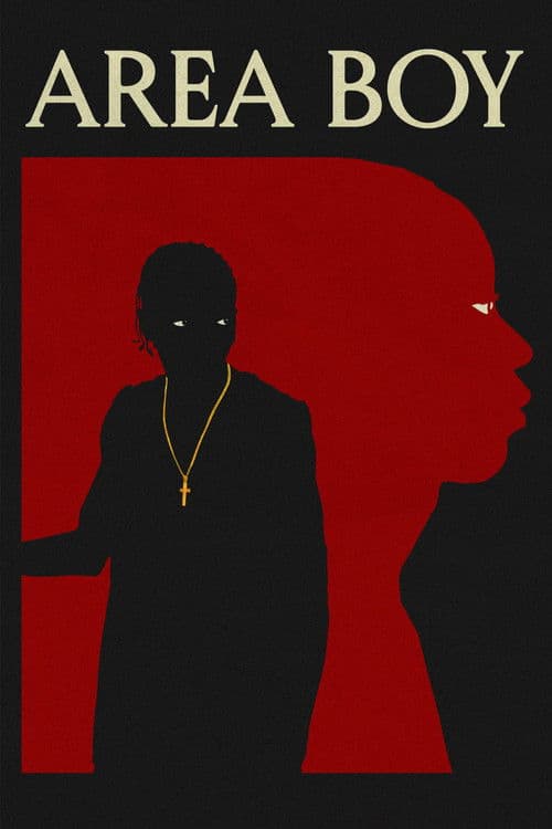 Area Boy poster