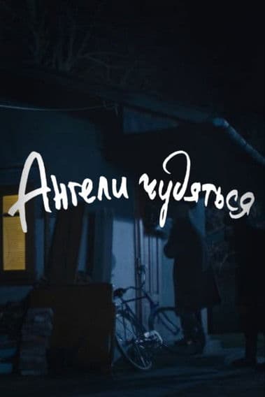 DZIDZIO: The Angels Gaze in Wonder poster