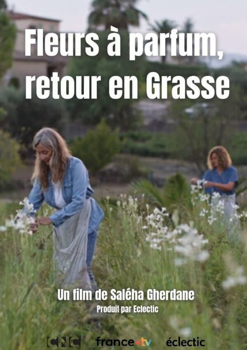 Fleurs à parfum, retour en Grasse poster