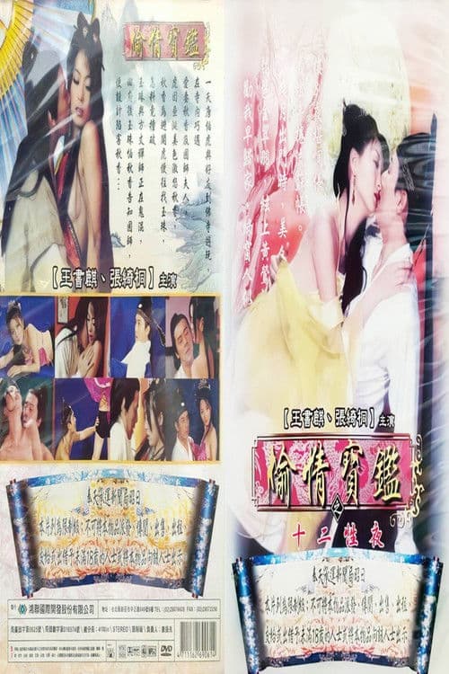偷情宝鉴之十二性夜 poster
