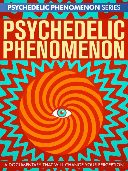 Psychedelic Experiences poster