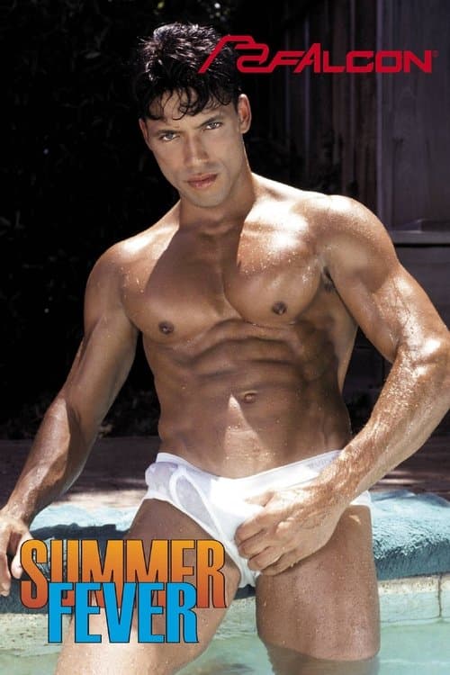 Summer Fever poster