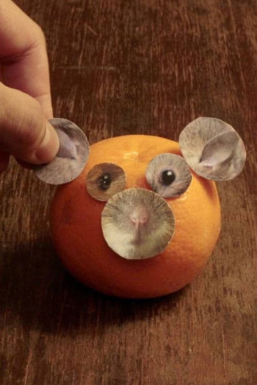 Set for Creating a Mouse poster