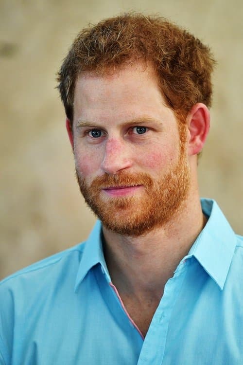Prince Harry, Duke of Sussex profile photo