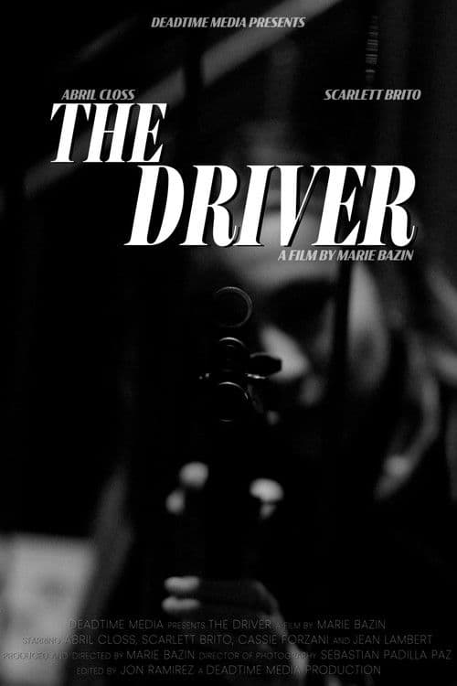 The Driver poster