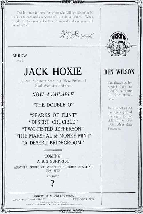 The Desert Bridegroom poster