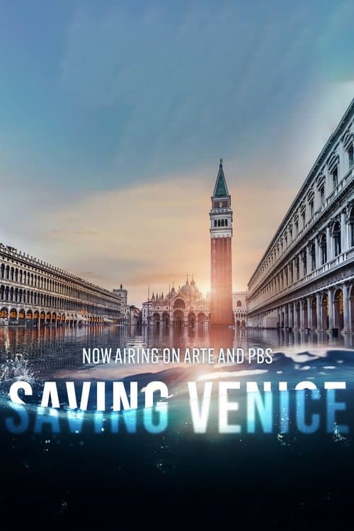 Saving Venice poster