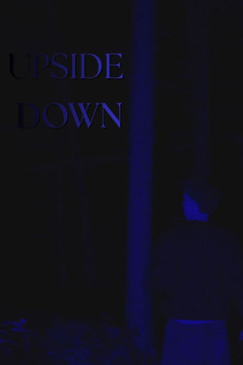 Upside Down - эксперимент summer 2025 poster