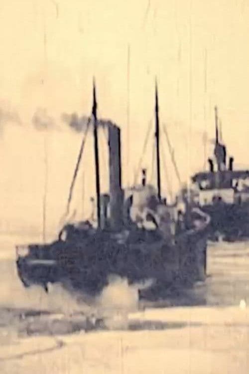 Icebreaker Krišjānis Valdemārs poster