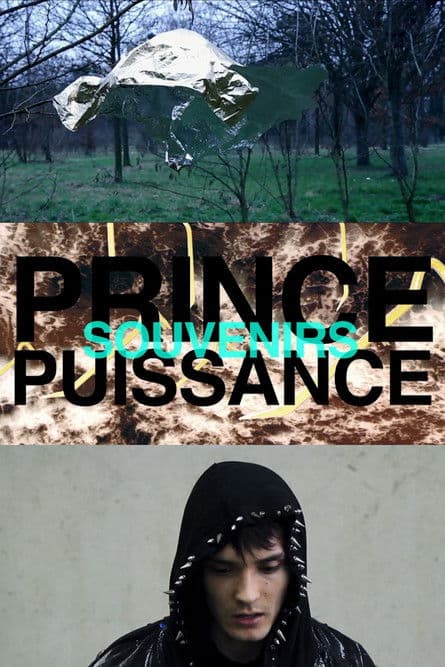 Prince, puissance, souvenirs poster