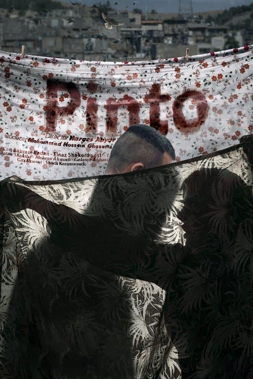 Pinto poster