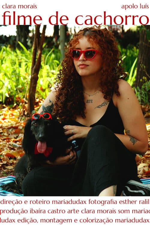 Filme de Cachorro poster