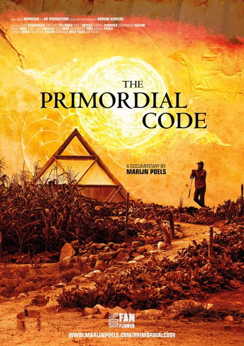 The Primordial Code poster
