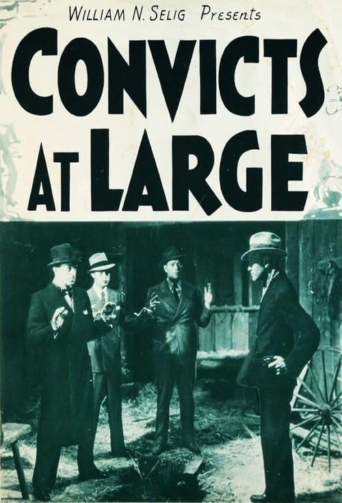 Convicts at Large poster
