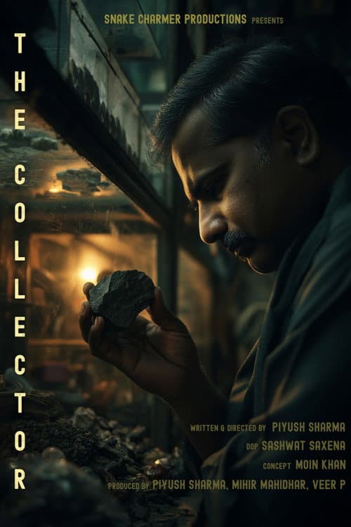 THE COLLECTOR poster