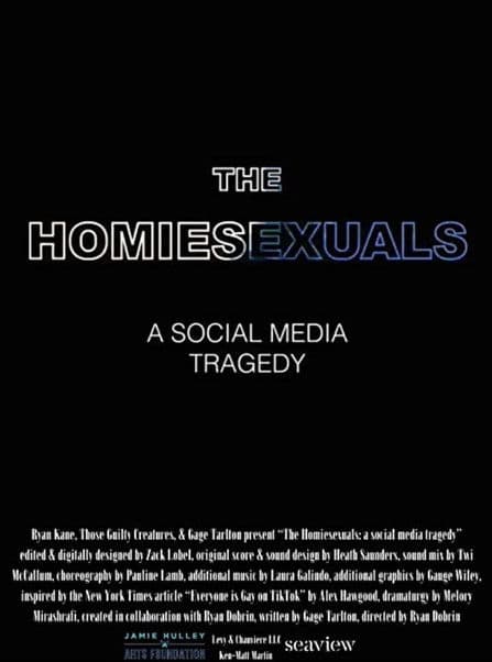 The Homiesexuals: a social media tragedy poster