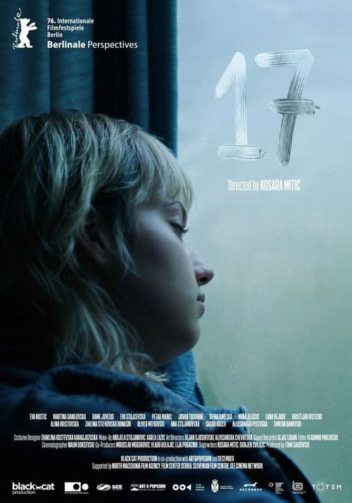 17 poster