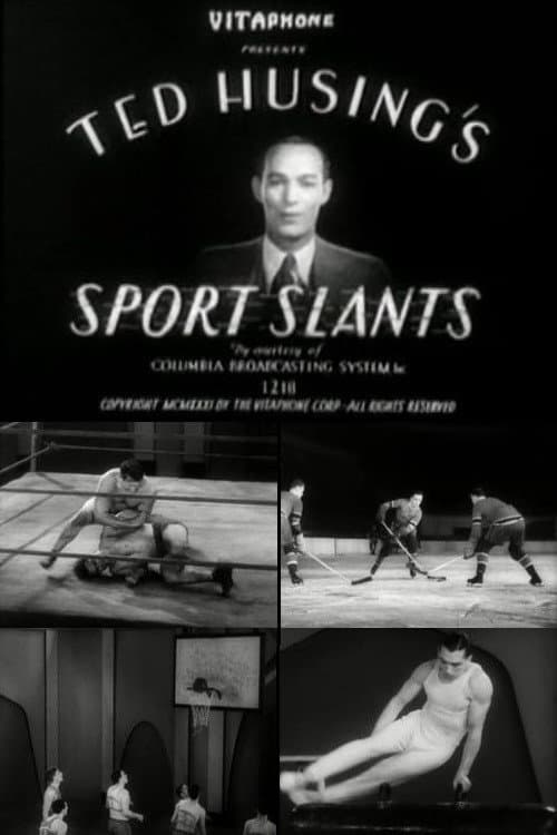 Sport Slants #1 poster