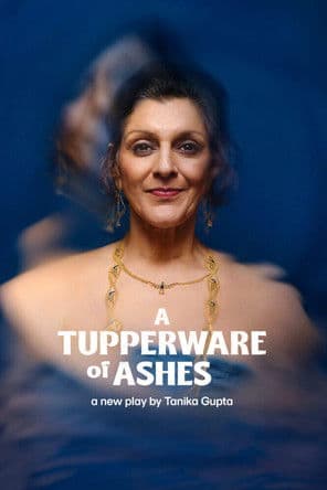A Tupperware of Ashes poster