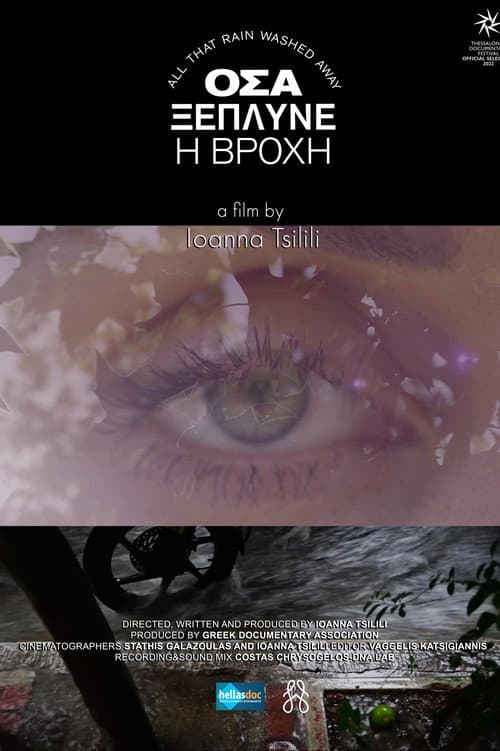 ALL THAT RAIN WASHED AWAY poster