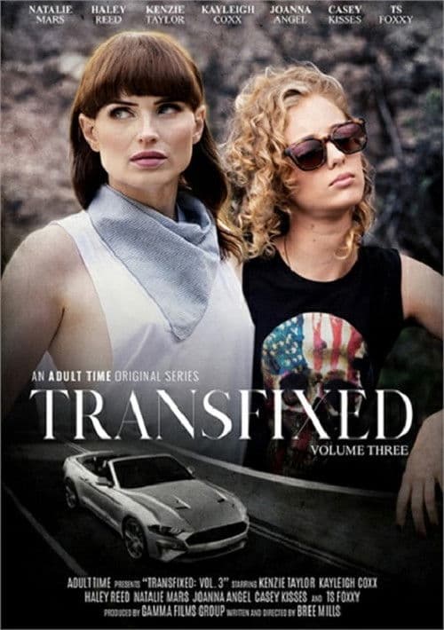 Transfixed 3 poster