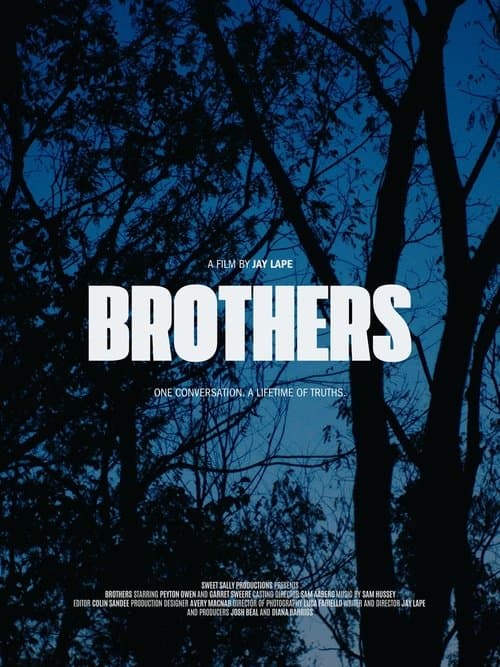Brothers poster