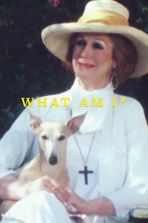 What Am I? poster