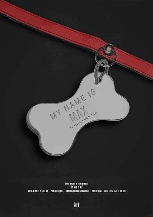 My Name Is Max poster