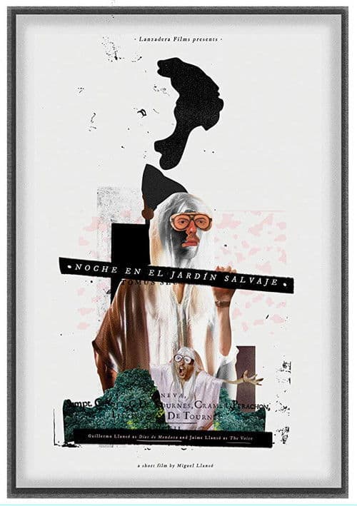 Night in the Wild Garden poster