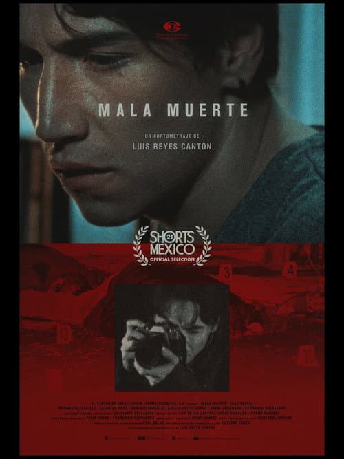 Bad Death poster