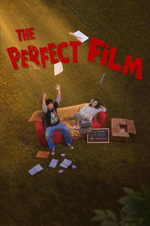 The Perfect Film poster