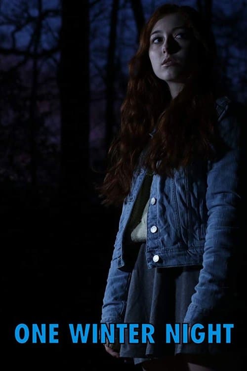 One Winter Night poster