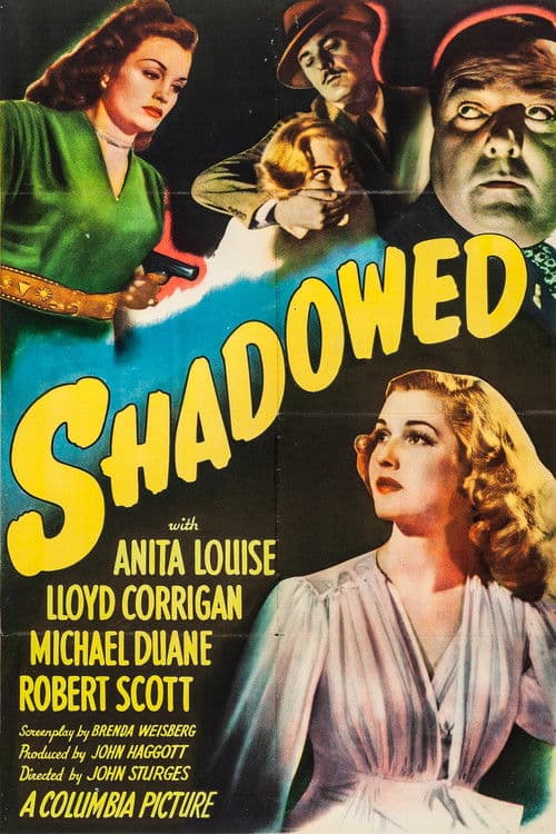 Shadowed poster