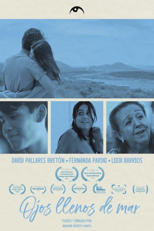 Beautiful Eyes poster