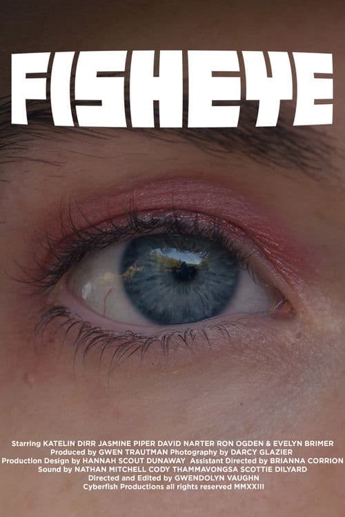 Fisheye poster