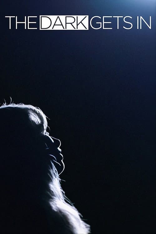 The Dark Gets In poster